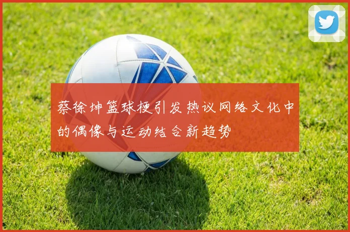 蔡徐坤篮球梗引发热议网络文化中的偶像与运动结合新趋势