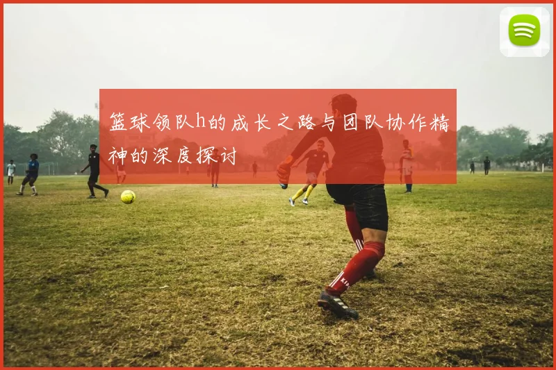篮球领队h的成长之路与团队协作精神的深度探讨